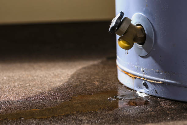 Best Local water damage restoration  in Summit Park, UT