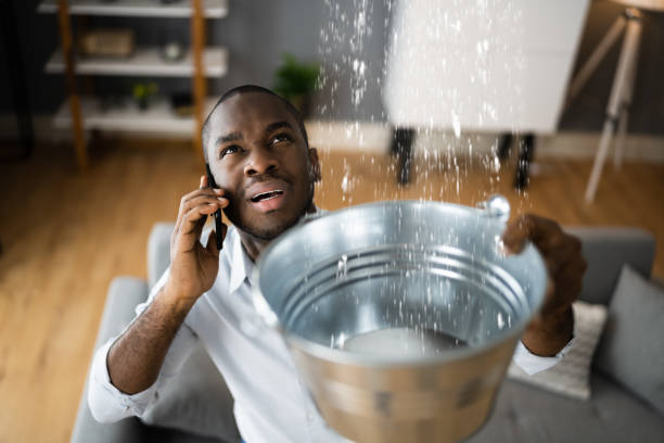 Local water damage restoration in Summit Park, UT