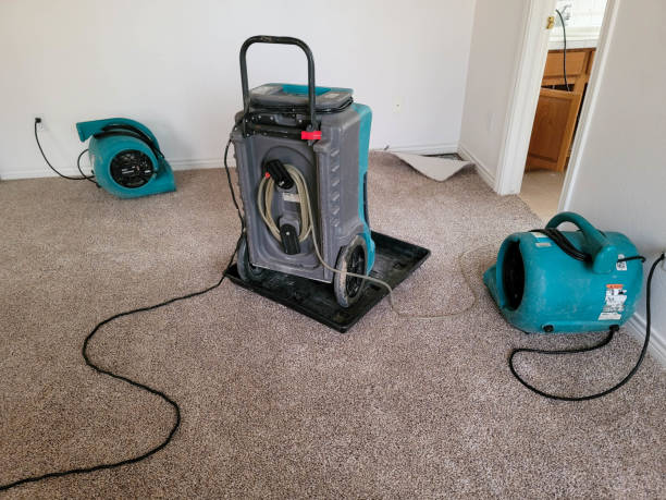 Best Basement water damage restoration  in Summit Park, UT