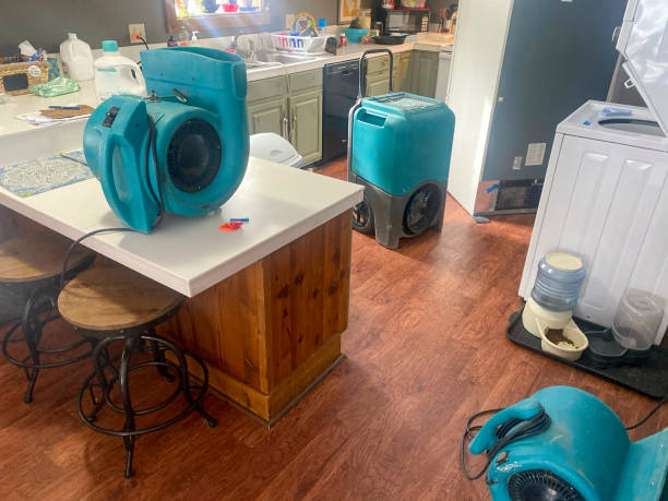 Best Water damage cleanup near me  in Summit Park, UT