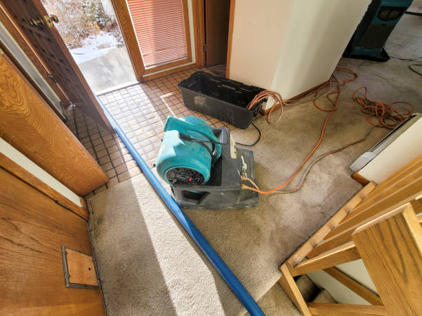 Best Flood damage cleanup  in Summit Park, UT