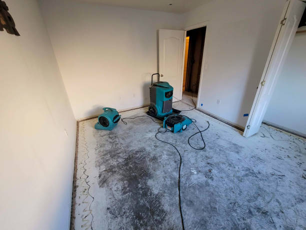Best 24/7 water damage repair  in Summit Park, UT