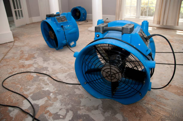 Best Flood restoration services  in Summit Park, UT