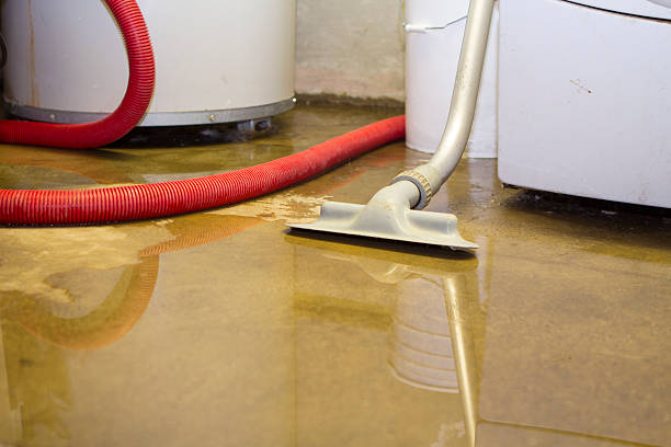 Best Carpet water damage restoration  in Summit Park, UT