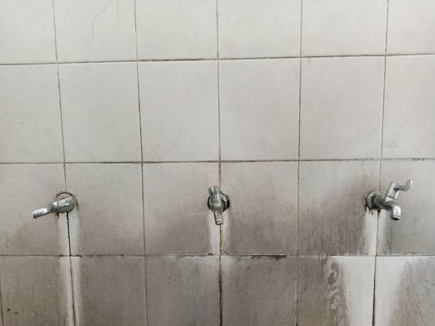 Best Water damage restoration cost  in Summit Park, UT