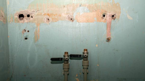Best Mold removal after water damage  in Summit Park, UT