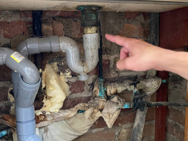 Water damage restoration mold remediation in Summit Park, UT