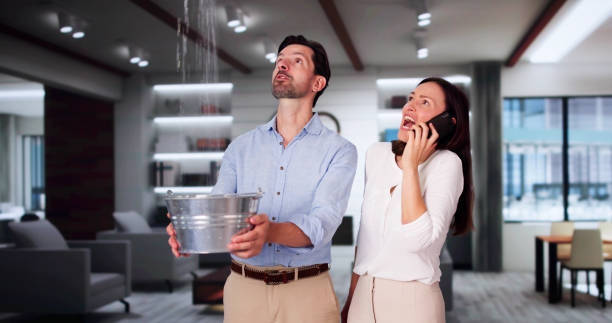 Best Water damage restoration services  in Summit Park, UT