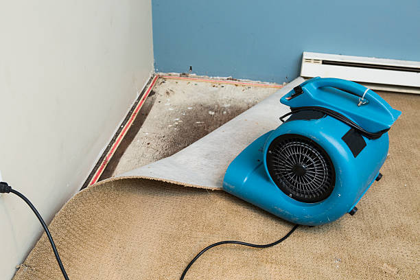 Best Emergency water damage restoration  in Summit Park, UT